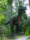 31 Tyrannosaurus Rex.JPG (40401 bytes)