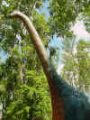 68 Brachiosaurus adult.JPG (40121 bytes)