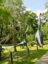 70 Brachiosaurus.JPG (39858 bytes)