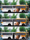 bus ad 4.jpg (60951 bytes)