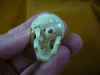 skull-4_5.jpg (147256 bytes)