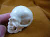 skull-5_3.jpg (146491 bytes)