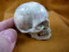 skull-6_1.jpg (142979 bytes)