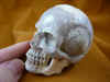 skull-9_1.jpg (142574 bytes)