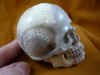 skull-9_3.jpg (153122 bytes)