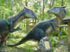34 Brachylophosaurus.jpg (40009 bytes)