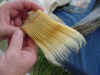 Whale baleen young.jpg (39039 bytes)