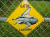 Gator crossing sign.jpg (39785 bytes)