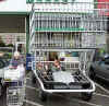 car shopping cart.jpg (44055 bytes)